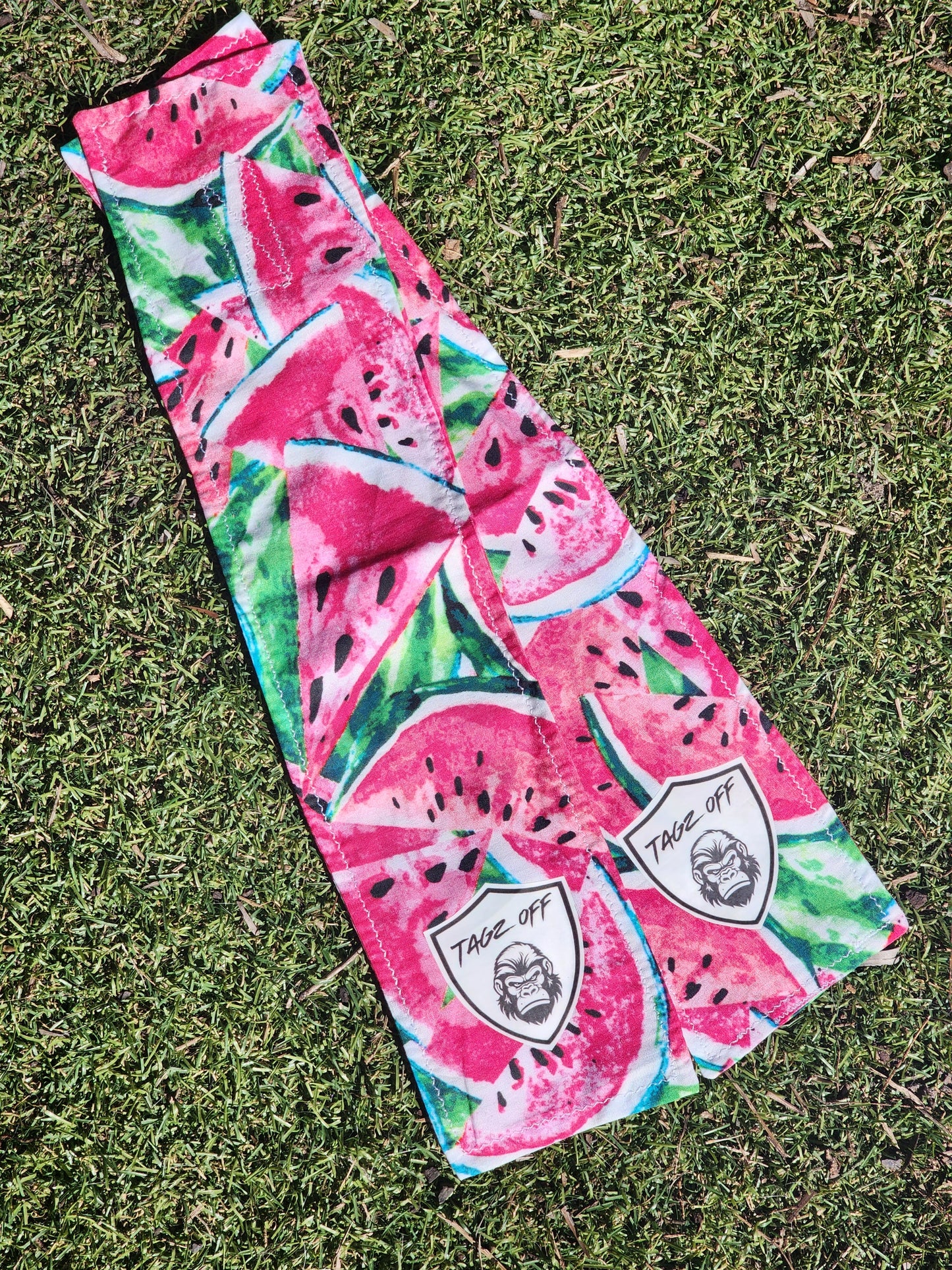 Watermelon Print