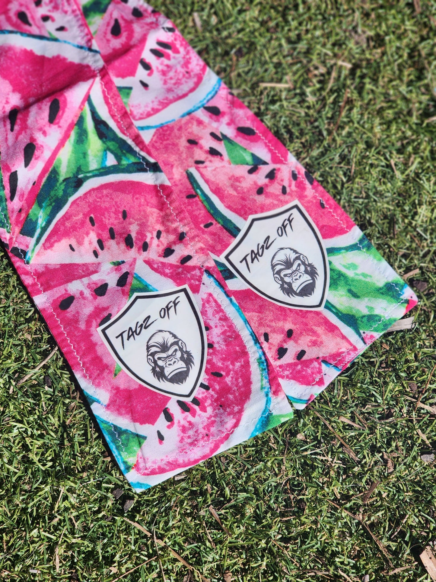 Watermelon Print