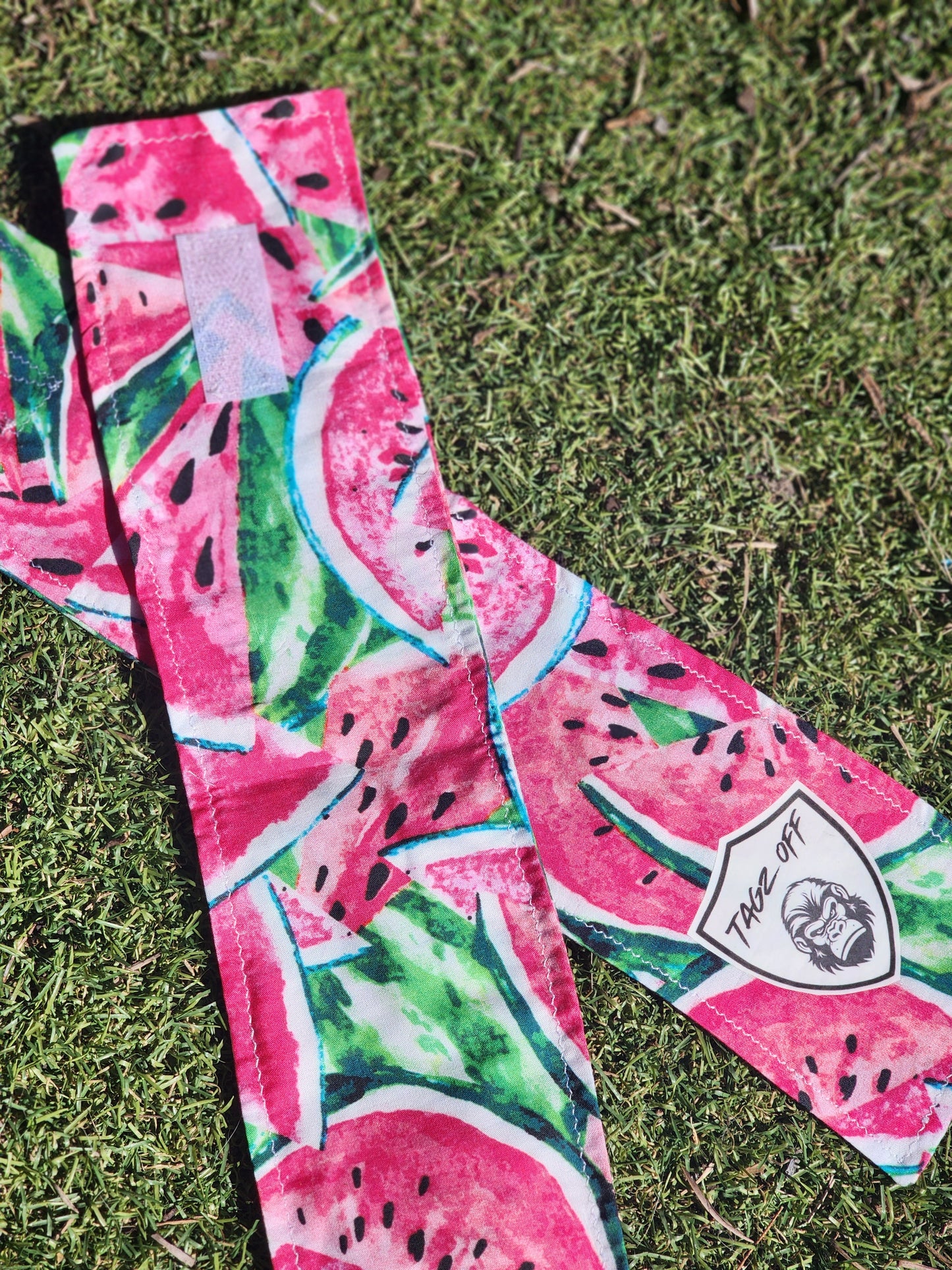 Watermelon Print